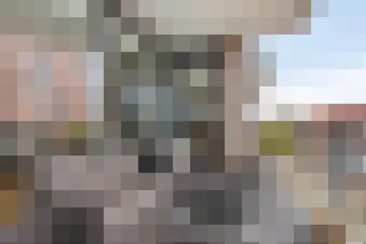 Gravinnelaan 24 Oud-Beijerland thumbnail 30