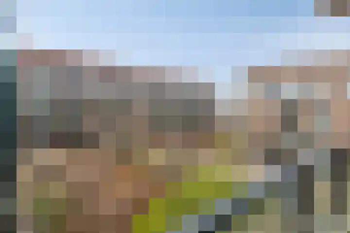 Gravinnelaan 24 Oud-Beijerland thumbnail 31
