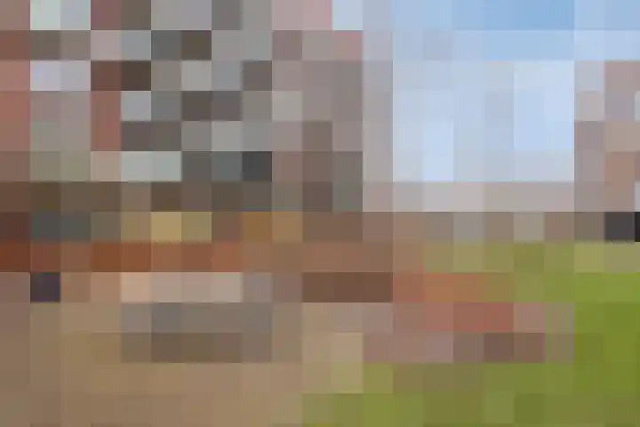 Gravinnelaan 24 Oud-Beijerland thumbnail 34