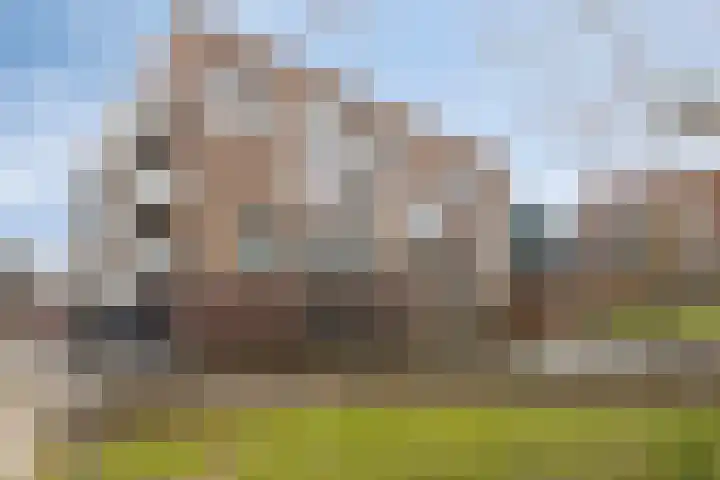 Gravinnelaan 24 Oud-Beijerland thumbnail 35