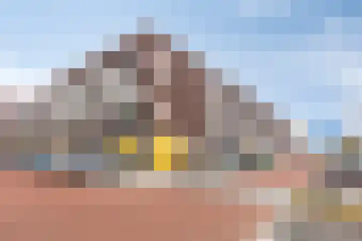 Gravinnelaan 24 Oud-Beijerland thumbnail 36