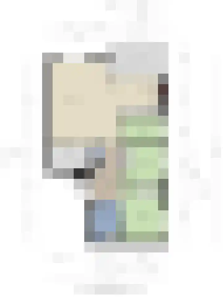 Gravinnelaan 24 Oud-Beijerland thumbnail 38