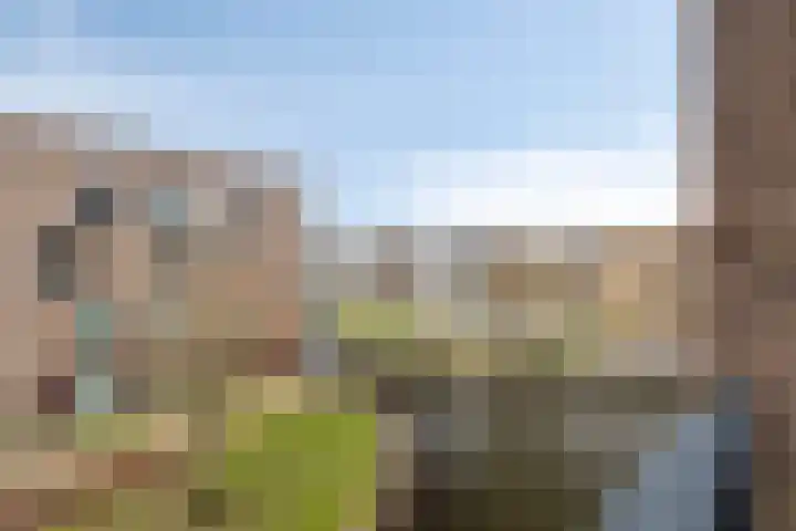 Gravinnelaan 24 Oud-Beijerland thumbnail 4