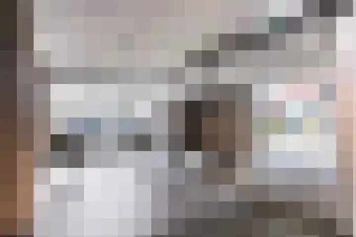 Gravinnelaan 30 Oud-Beijerland thumbnail 10
