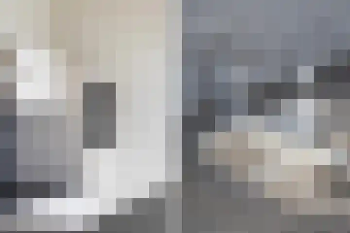 Gravinnelaan 30 Oud-Beijerland thumbnail 19