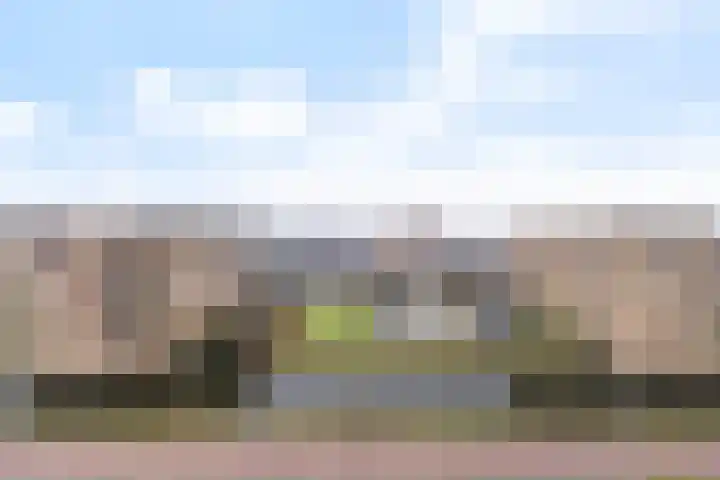 Gravinnelaan 30 Oud-Beijerland thumbnail 26