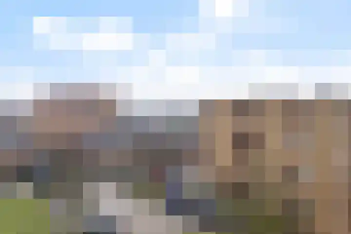 Gravinnelaan 30 Oud-Beijerland thumbnail 30