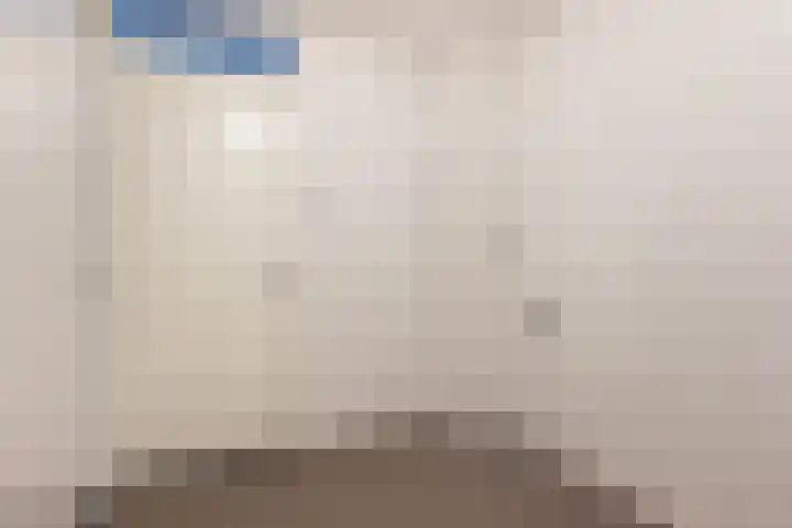 Gravinnelaan 30 Oud-Beijerland thumbnail 36
