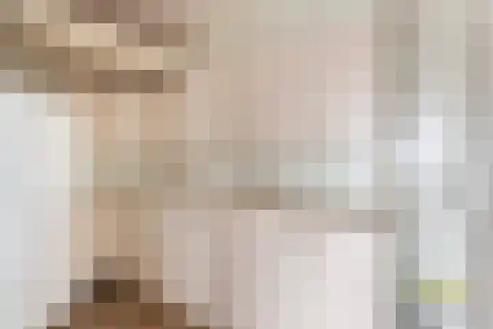 Gravinnelaan 30 Oud-Beijerland thumbnail 38