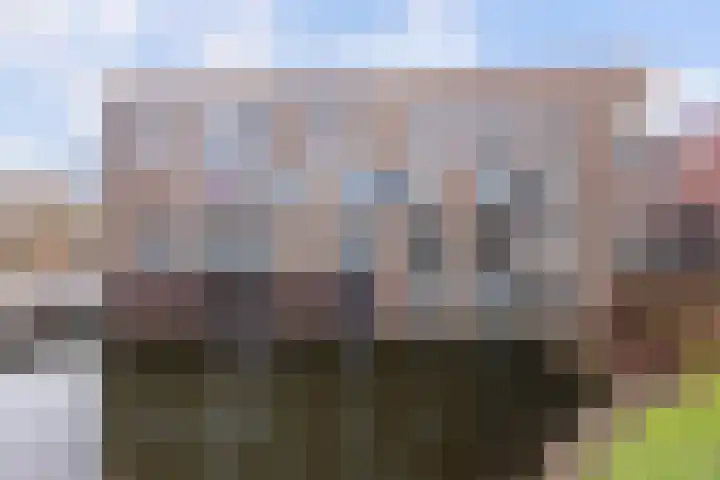 Gravinnelaan 30 Oud-Beijerland thumbnail 40