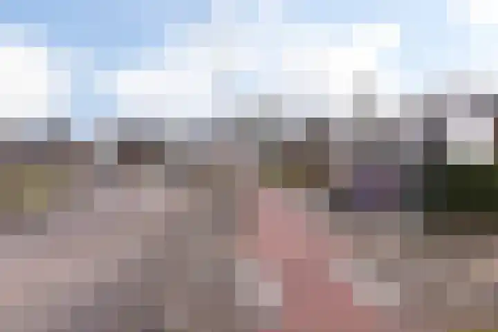 Gravinnelaan 30 Oud-Beijerland thumbnail 41