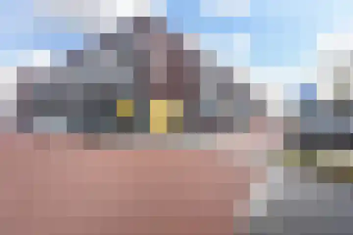 Gravinnelaan 30 Oud-Beijerland thumbnail 42