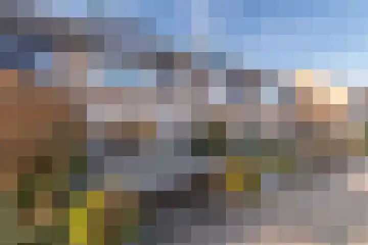 Gravinnelaan 5 Veenendaal