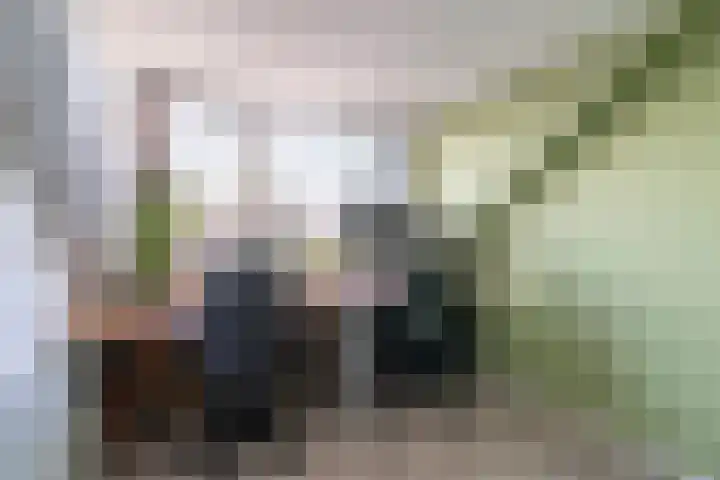 Gravinnelaan 5 Veenendaal thumbnail 18