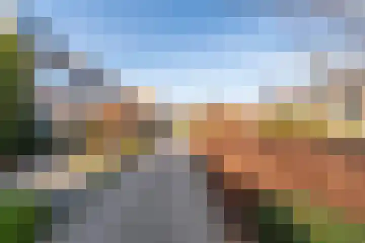 Gravinnelaan 5 Veenendaal thumbnail 26