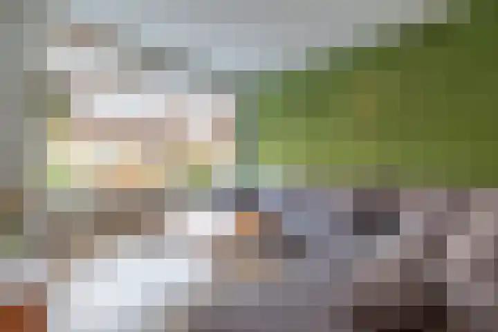 Gravinnelaan 5 Veenendaal thumbnail 5