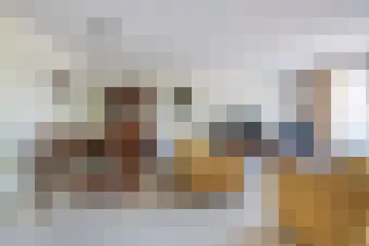 Gravinnelaan 80 Oud-Beijerland thumbnail 14