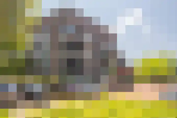 Gravinnelaan 80 Oud-Beijerland foto 2