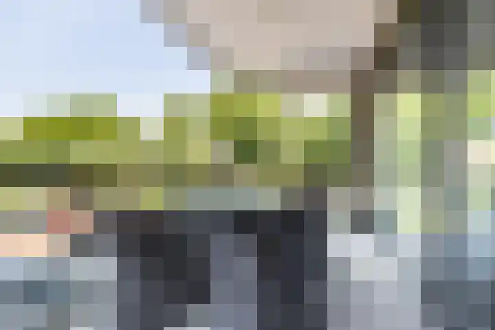 Gravinnelaan 80 Oud-Beijerland thumbnail 20