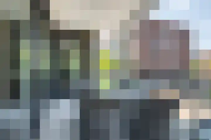 Gravinnelaan 80 Oud-Beijerland thumbnail 21
