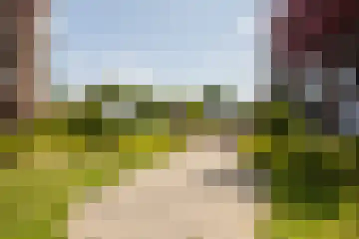 Gravinnelaan 80 Oud-Beijerland thumbnail 30