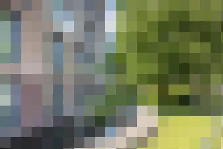 Gravinnelaan 80 Oud-Beijerland thumbnail 31