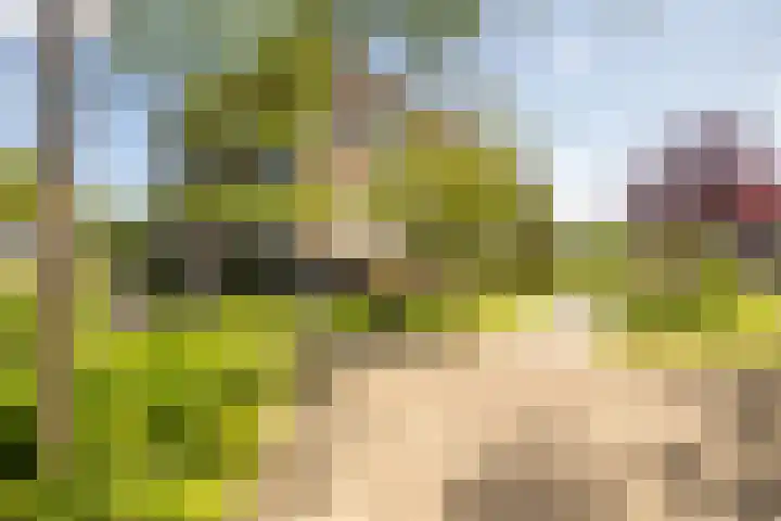 Gravinnelaan 80 Oud-Beijerland thumbnail 32