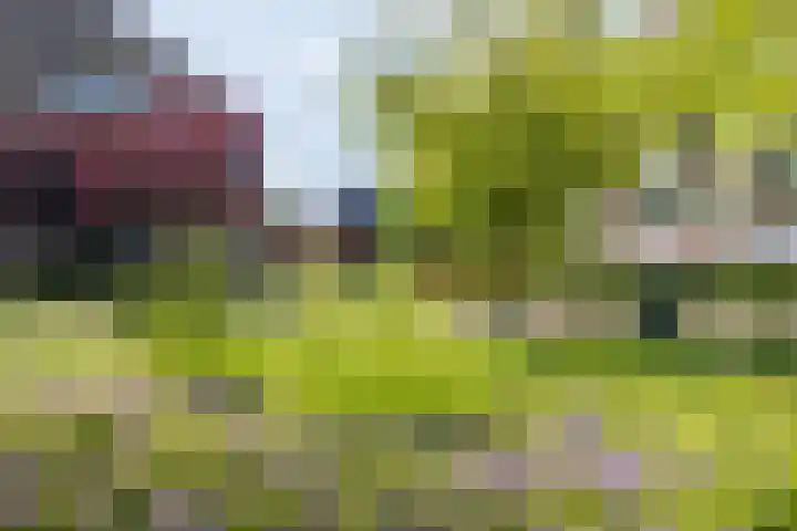 Gravinnelaan 80 Oud-Beijerland thumbnail 33