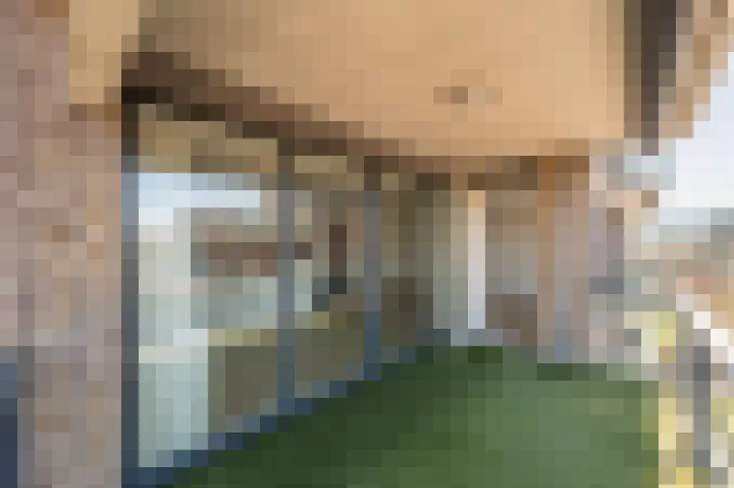 Gravinnelaan 88 Oud-Beijerland thumbnail 16