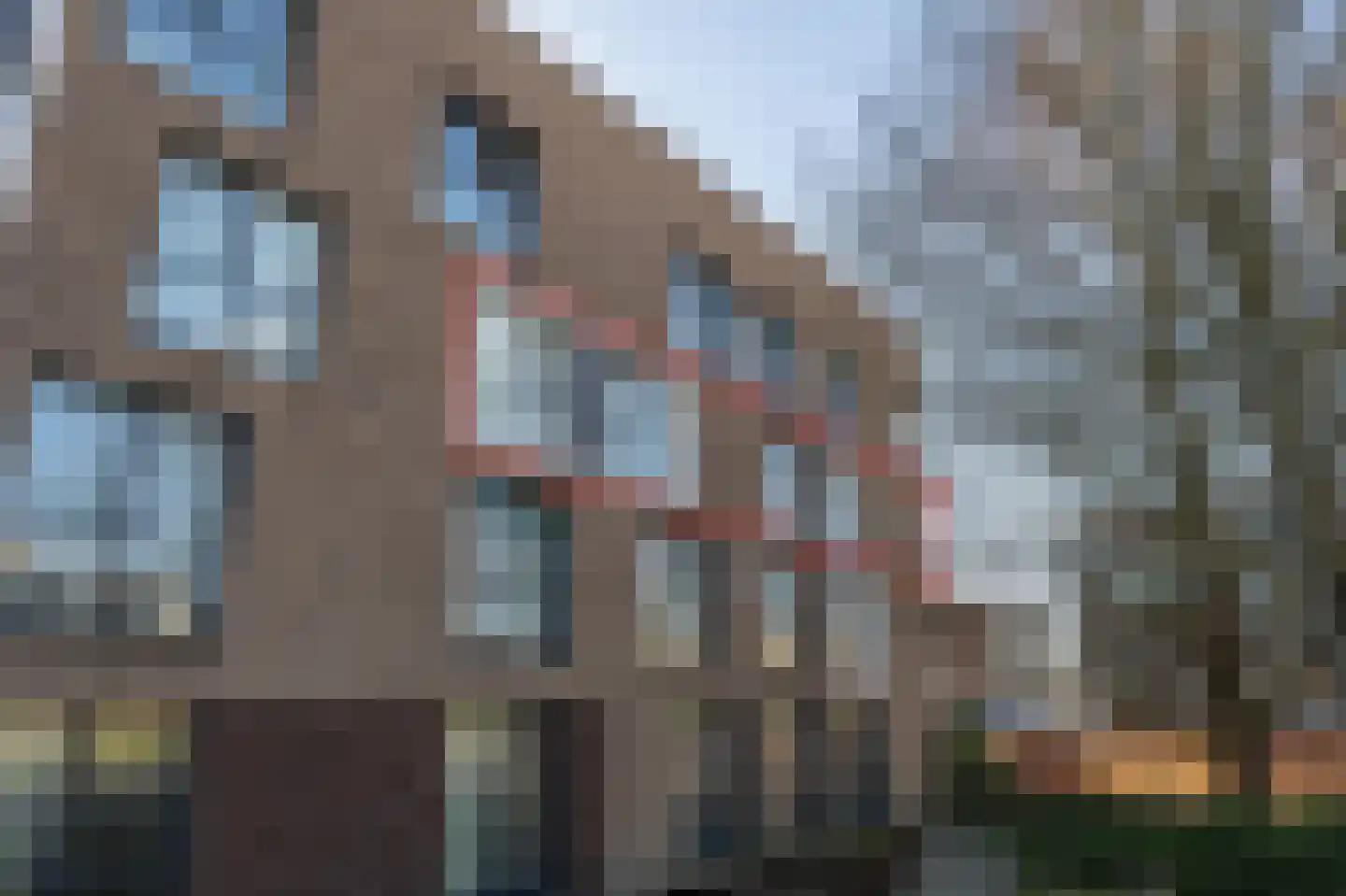 Gravinnelaan 88 Oud-Beijerland foto 3