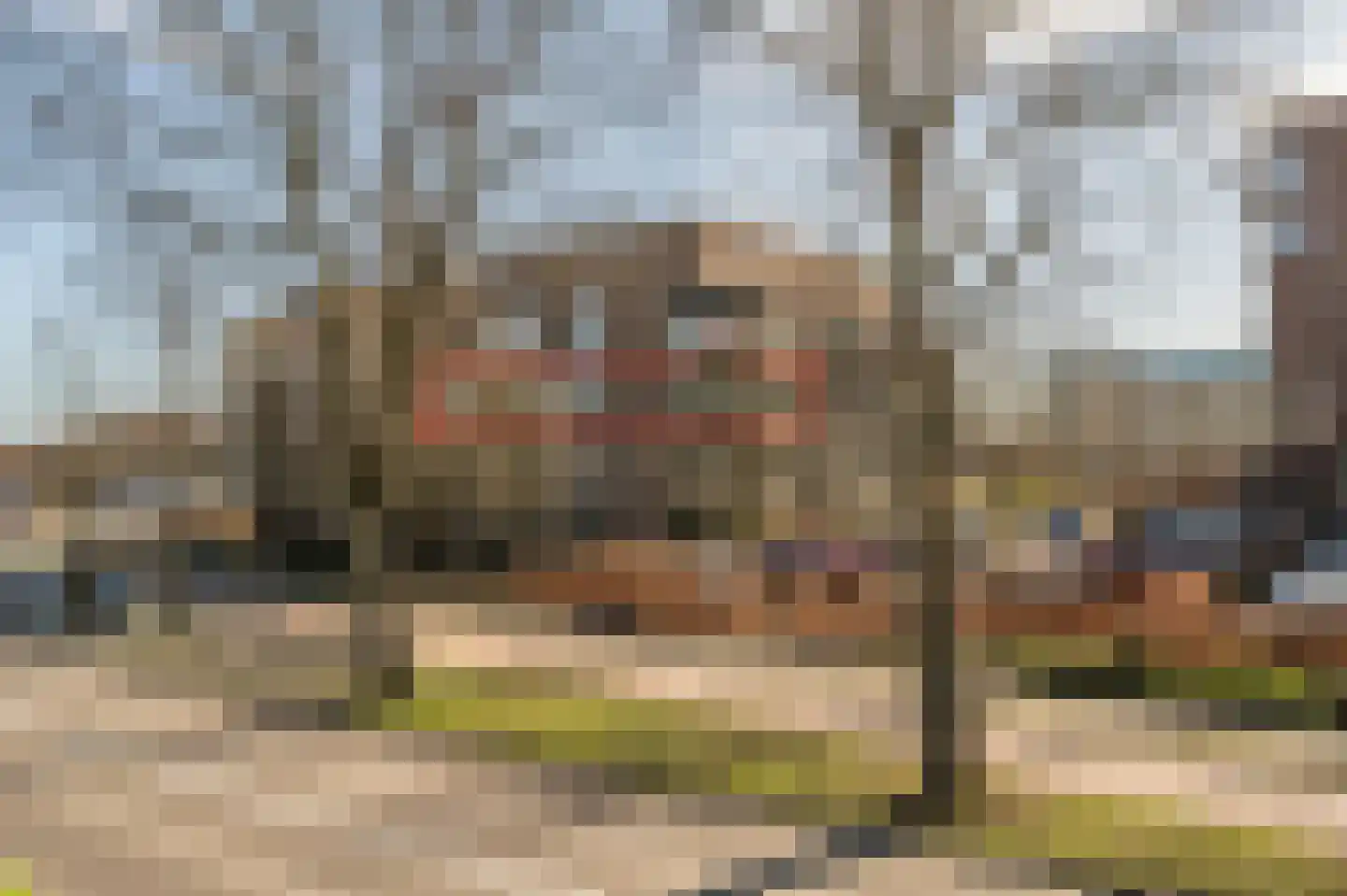 Gravinnelaan 88 Oud-Beijerland thumbnail 42