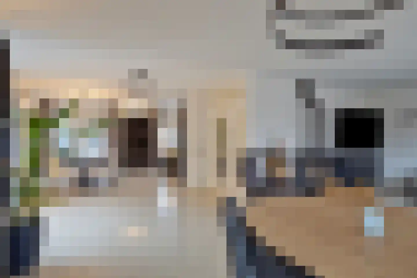 Gravinnenlaan 4 Mijnsheerenland thumbnail 11