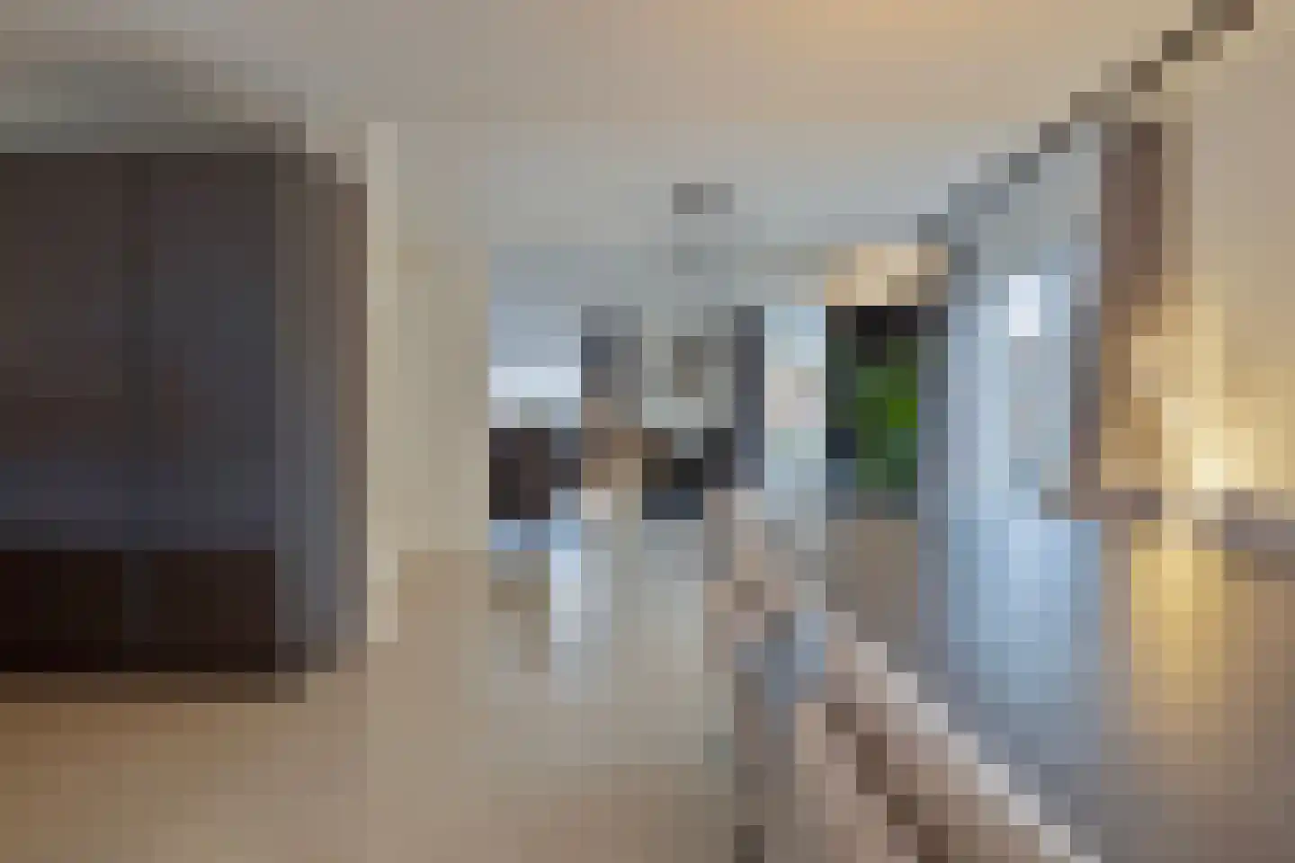 Gravinnenlaan 4 Mijnsheerenland thumbnail 14