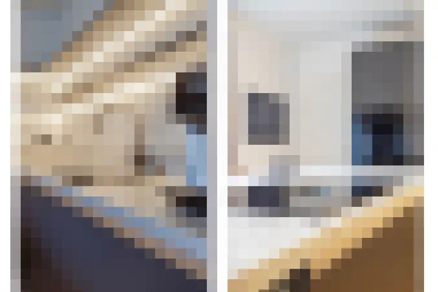 Gravinnenlaan 4 Mijnsheerenland thumbnail 18