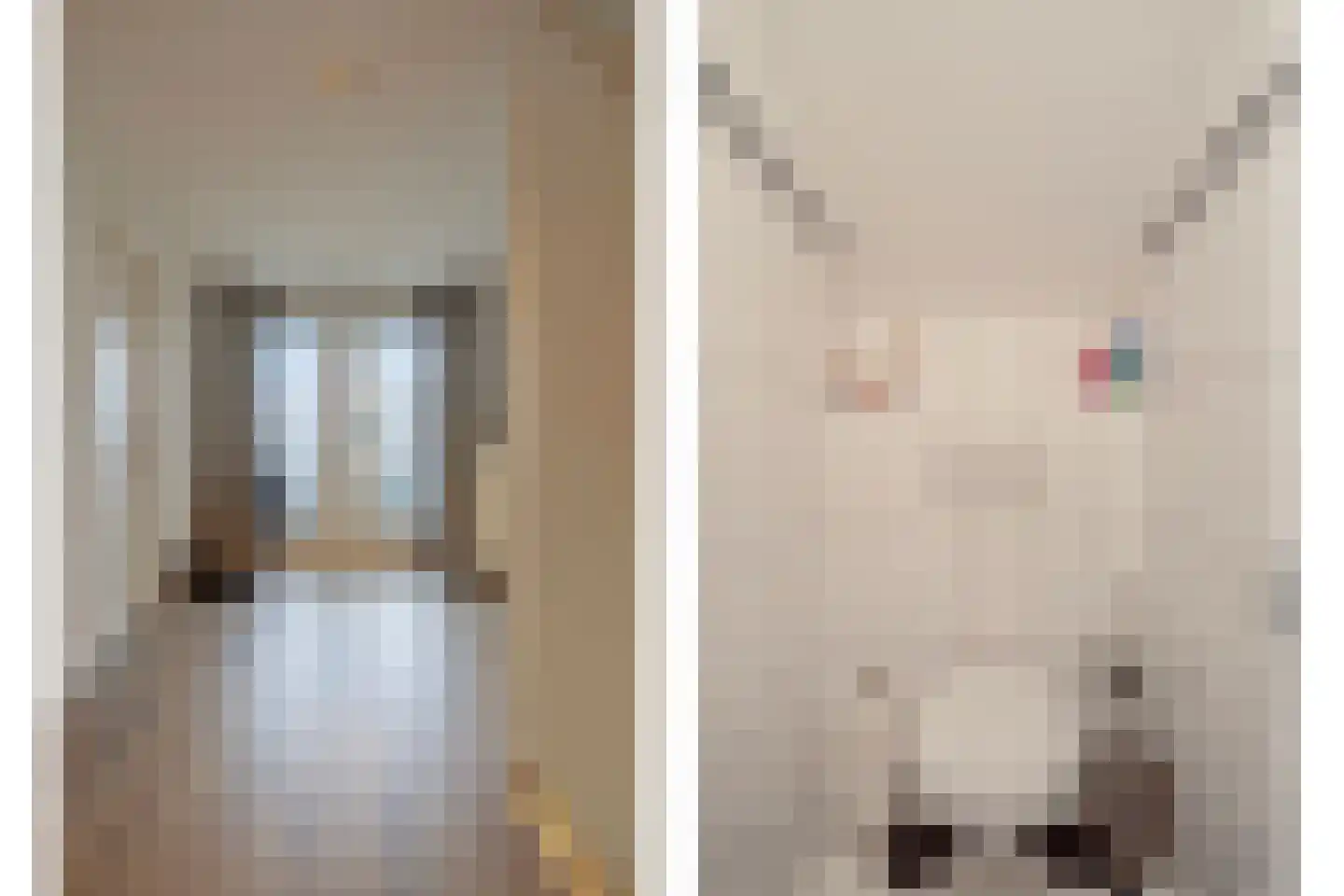 Gravinnenlaan 4 Mijnsheerenland thumbnail 20