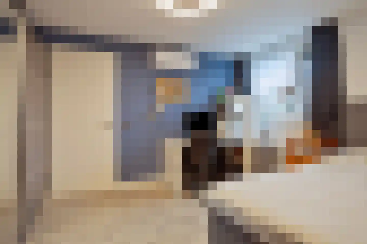 Gravinnenlaan 4 Mijnsheerenland thumbnail 23