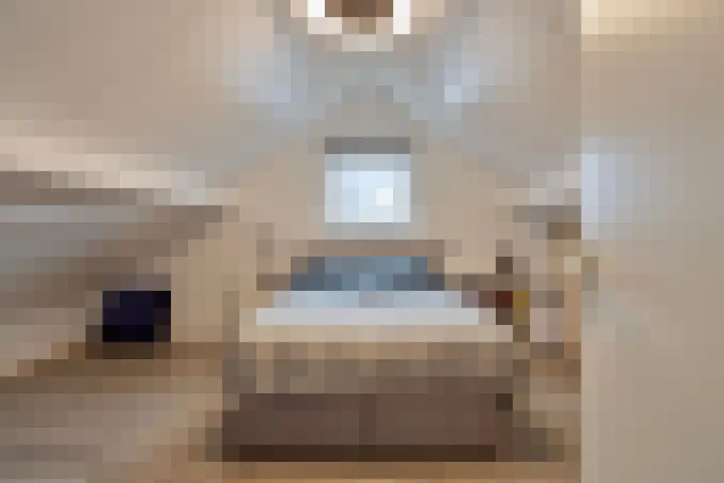 Gravinnenlaan 4 Mijnsheerenland thumbnail 30