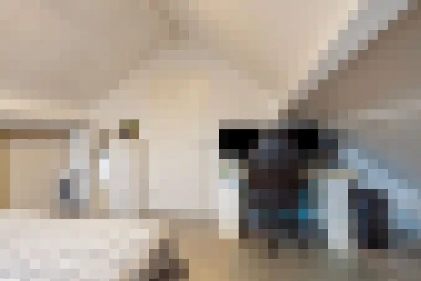 Gravinnenlaan 4 Mijnsheerenland thumbnail 31
