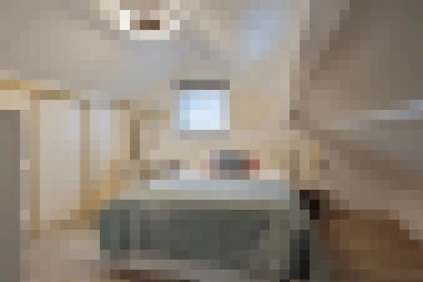 Gravinnenlaan 4 Mijnsheerenland thumbnail 32