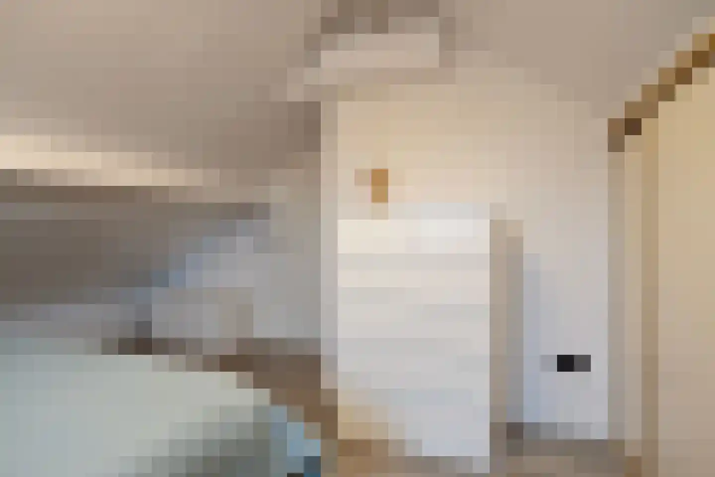 Gravinnenlaan 4 Mijnsheerenland thumbnail 33