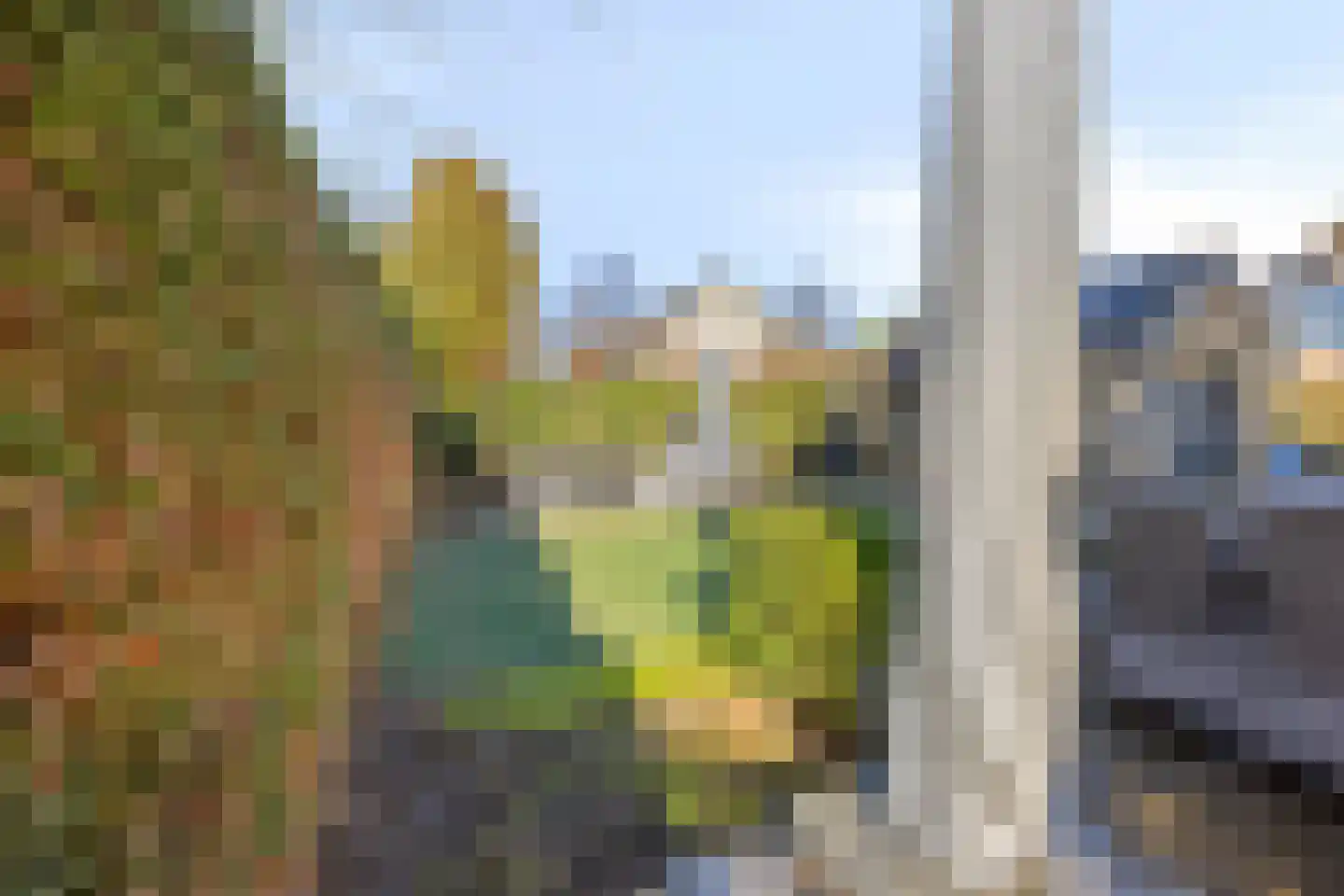 Gravinnenlaan 4 Mijnsheerenland thumbnail 37