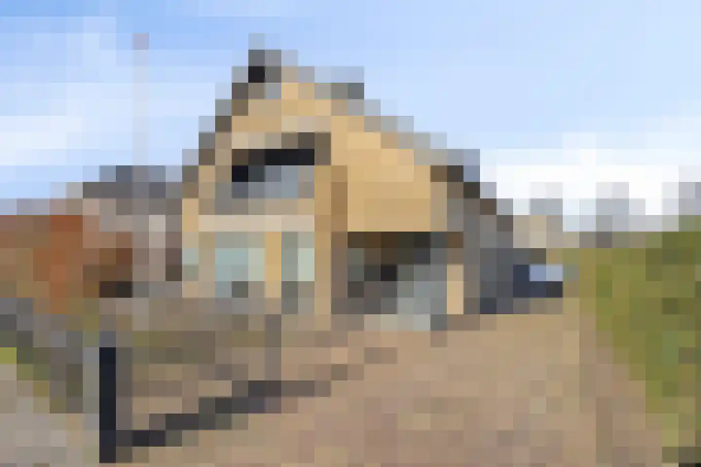 Gravinnenlaan 4 Mijnsheerenland thumbnail 5