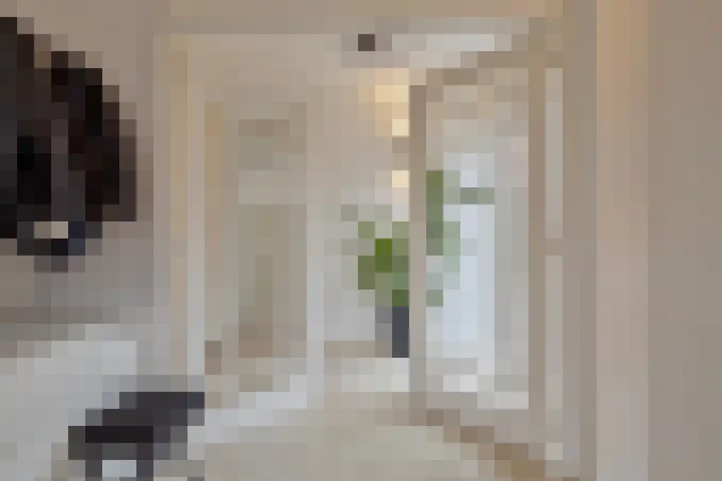 Gravinnenlaan 4 Mijnsheerenland thumbnail 6