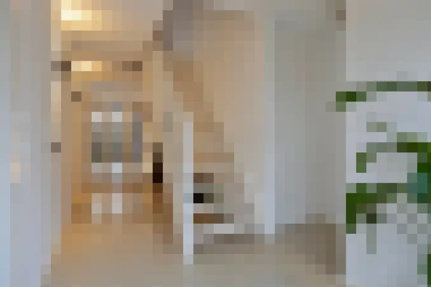 Gravinnenlaan 4 Mijnsheerenland thumbnail 7