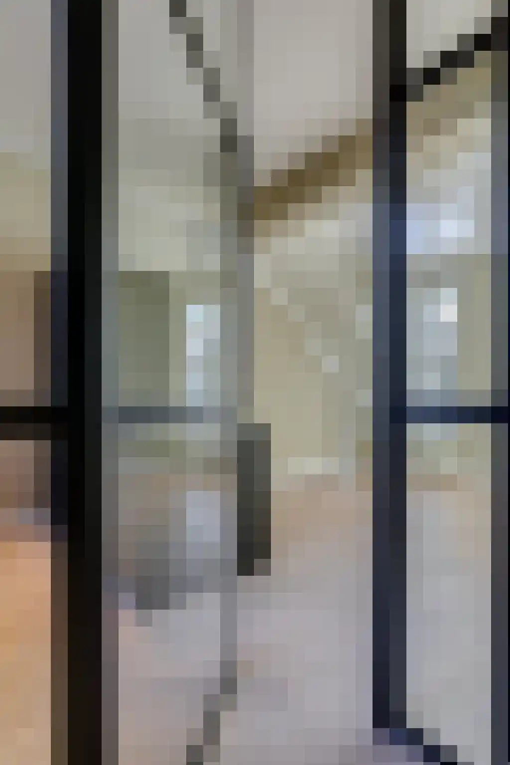 Gravinnesteeg 10 Haarlem thumbnail 4