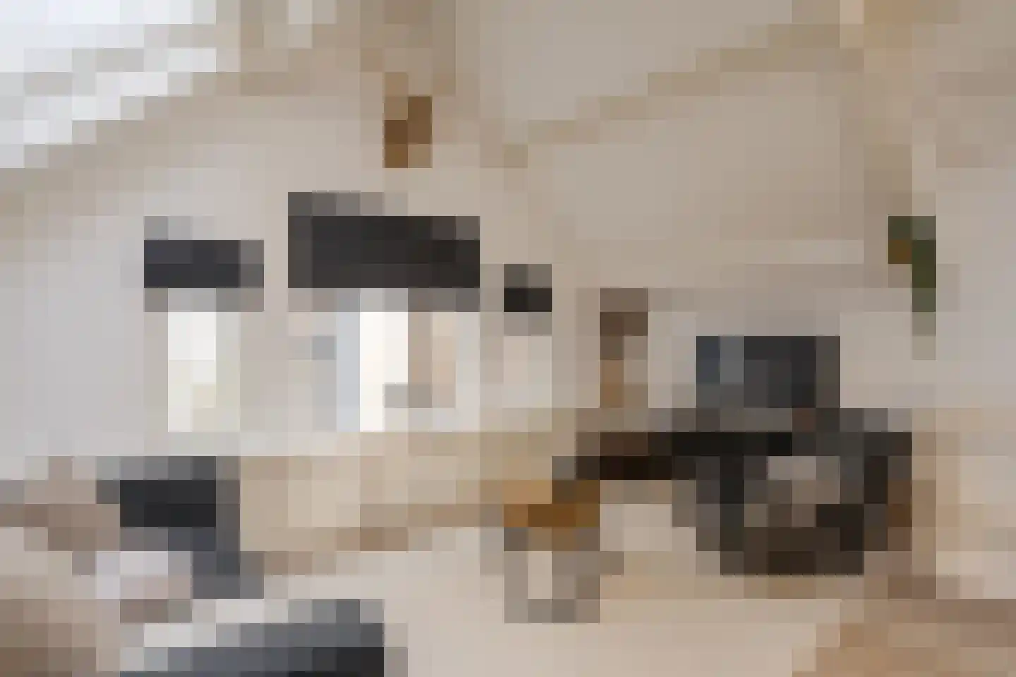 Gravinnesteeg 3 Haarlem thumbnail 22
