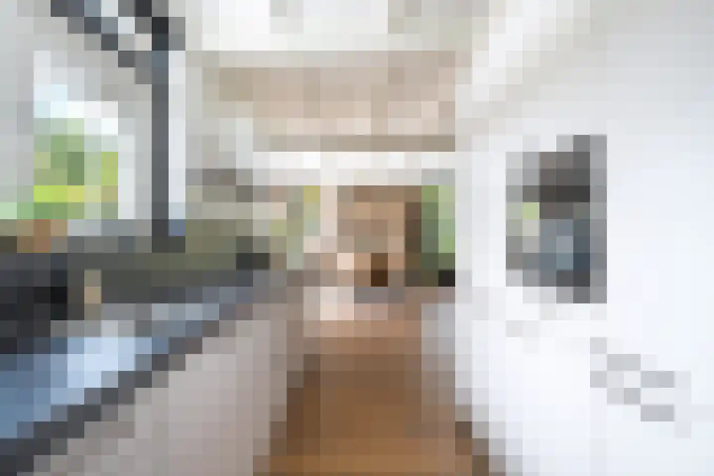 Gravinneweg 30 Sneek thumbnail 22