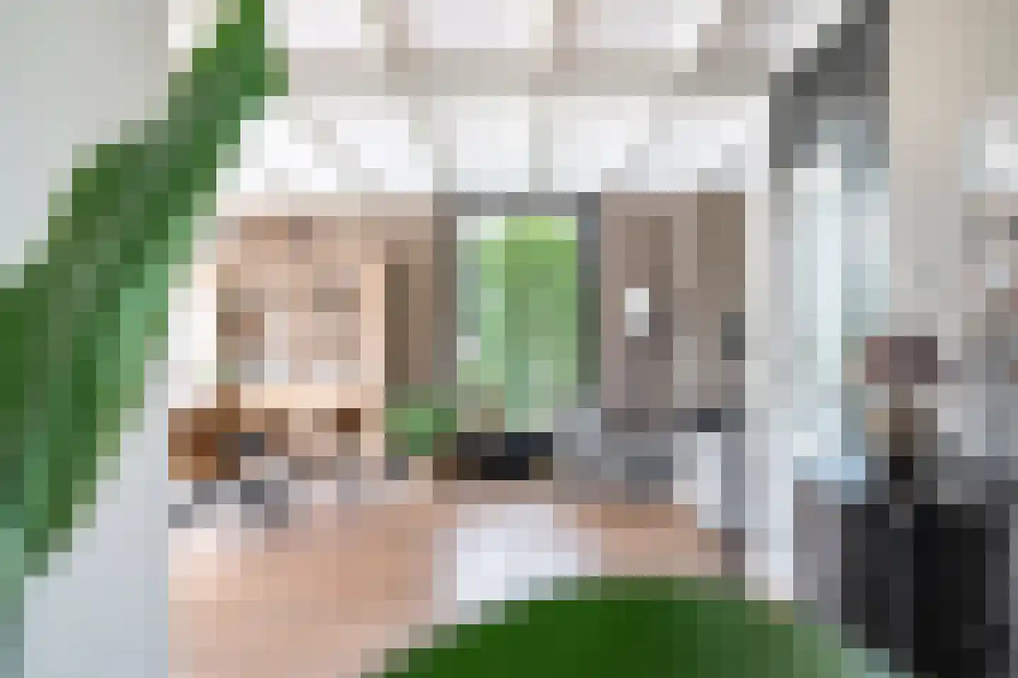 Gravinneweg 30 Sneek thumbnail 32