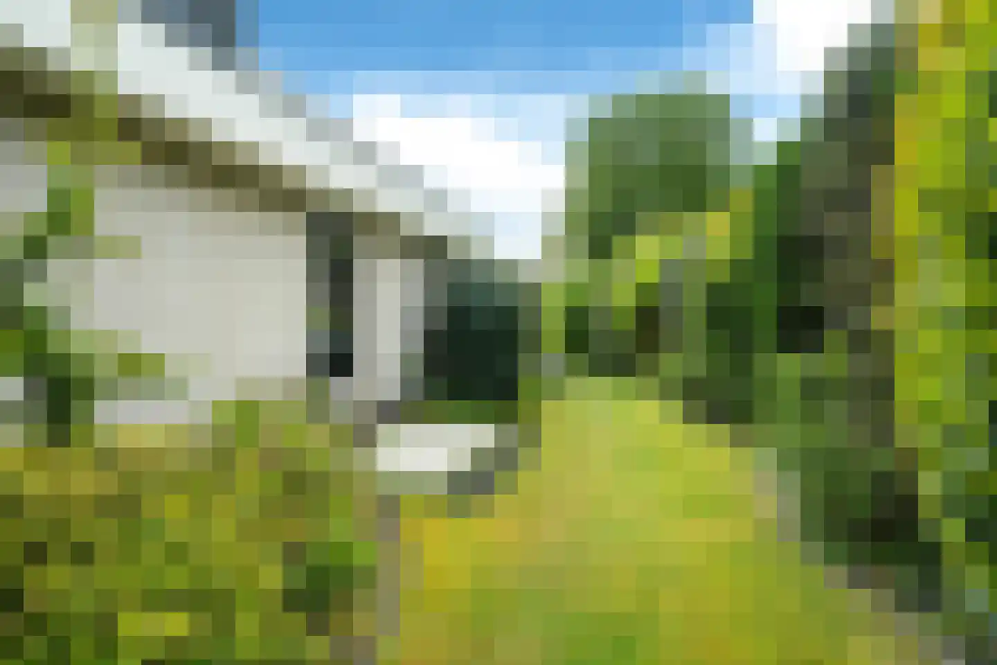 Gravinneweg 30 Sneek thumbnail 45