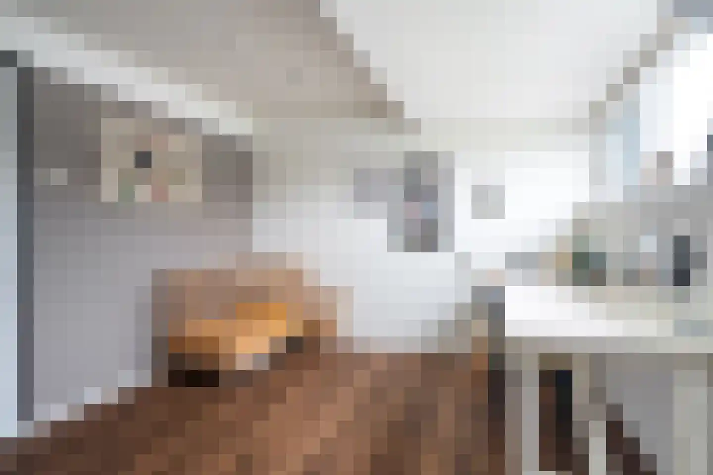 Gravinneweg 30 Sneek thumbnail 59